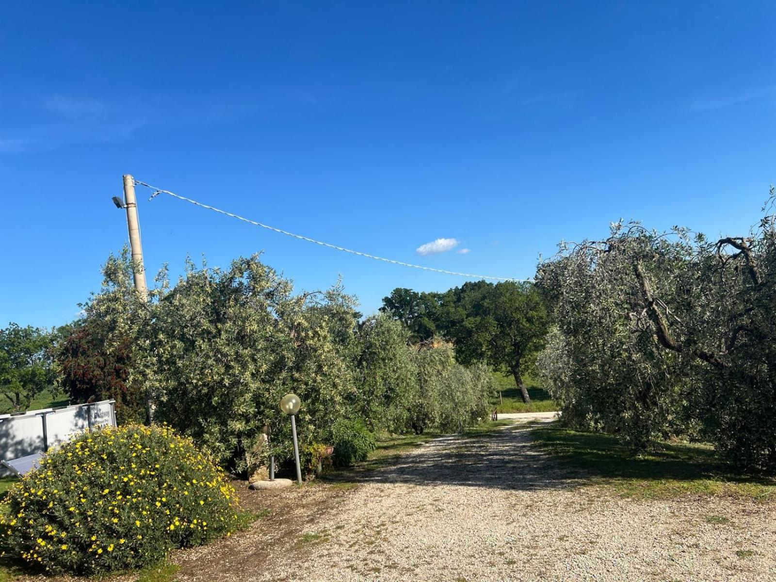 Agriturismo La Castellina Saturnia Extérieur photo